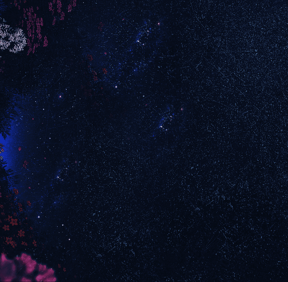 Constellation 2