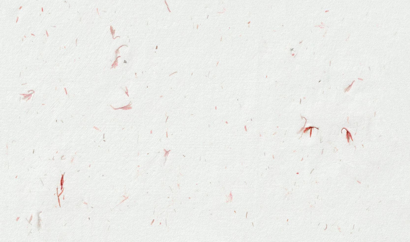 Pressed Petal